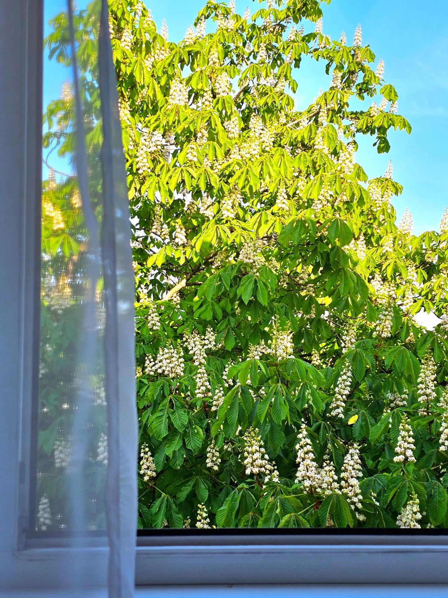 Apartamentai 76 Druskininkai Esterno foto